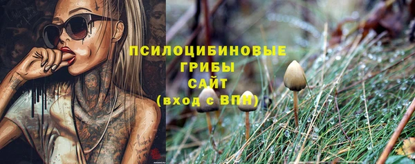 винт Алзамай