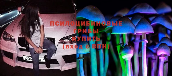 СК Алексеевка